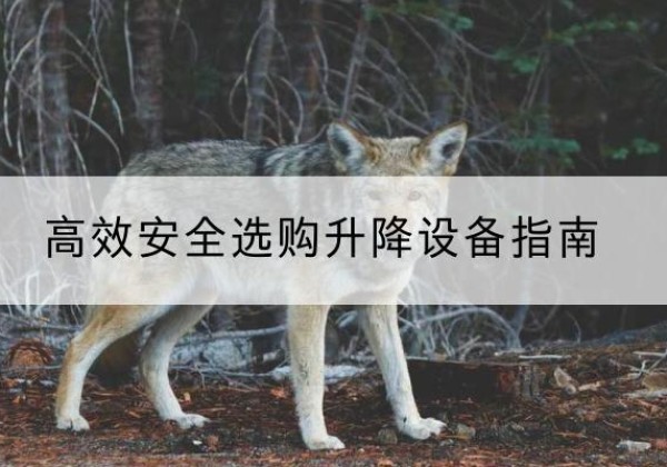 芒康升降货梯厂家推荐-*安全选购升降设备指南