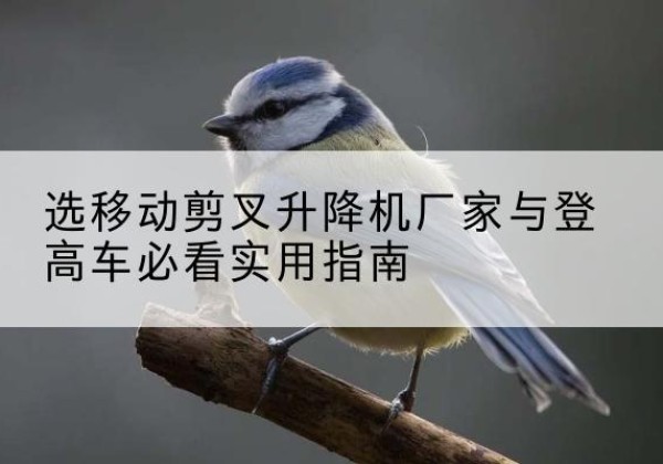 芒康电动升降机厂家-选移动剪叉升降机厂家与登高车必看实用指南